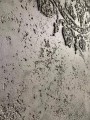 276d29d9321c318832732325e99746a9