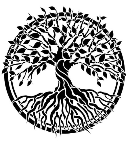 maxx 11.jpg1.jpg1.jpg